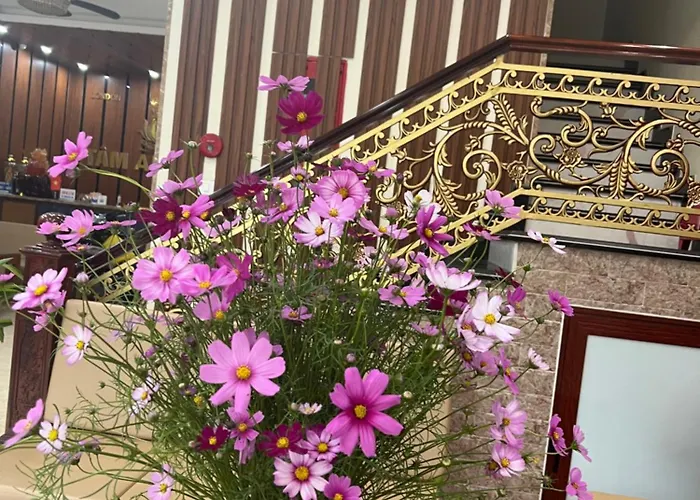 Tam An Binh An Hotel Hạ Long